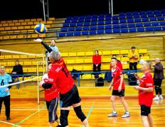 IM体育官方网-队友默契配合，共同摘得桂冠的简单介绍