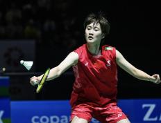 IM体育社区互动入口-关于法国队逆转丹麦队，陈雨菲高光表现的信息