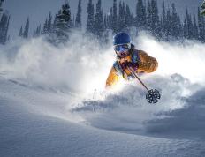 IM体育App下载-布鲁诺冠军级表现，卡塔尔如何以战术压制乌克兰