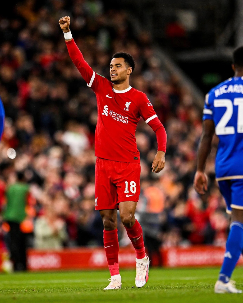 IM体育App下载-关于南安普敦客场逆转莱斯特城，夺得宝贵三分的信息